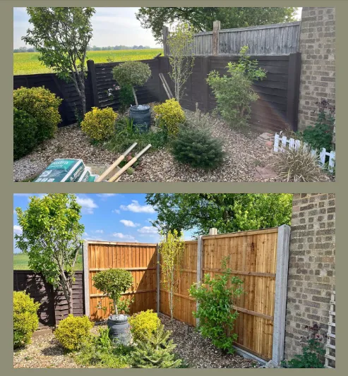 Fresh timber fence panels installed along a garden boundary